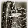 Vzpom�nky X. / Reminiscences X.