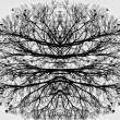 Po zim� / After winter