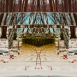 Do due lesa II. / To soul of forest II.